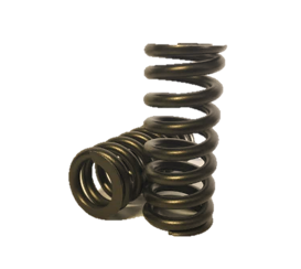 Ford Valve Springs