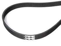 Serpentine Belt 1900mm 6 Rib - GM 3.0L Duramax 2020-2025 LM2 LZ0 Pacific Performance Engineering